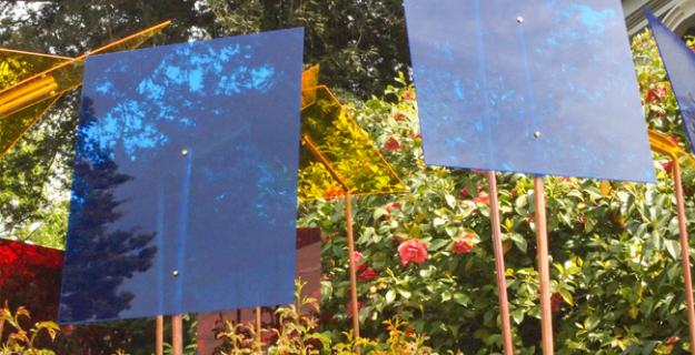 Art & Botany: A Restaurant with Gourmet Sunlight for Plants