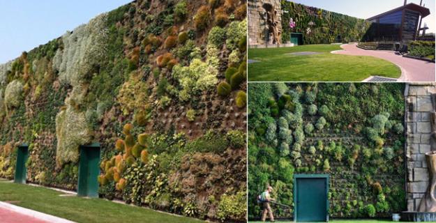 Botanic Superlatives: The World's Largest Vertical Garden