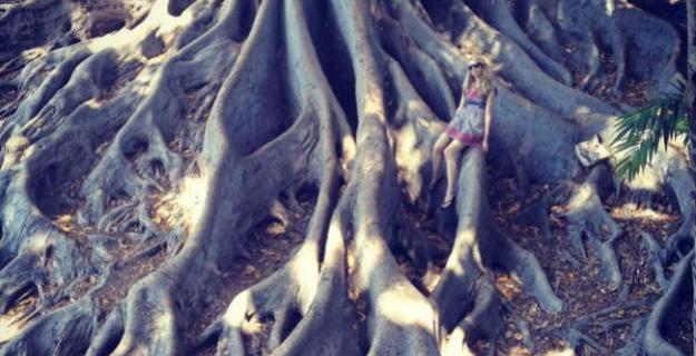Botanic Notables: Fig Stories 