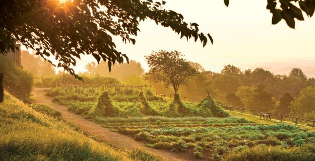 Thomas Jefferson's Monticello