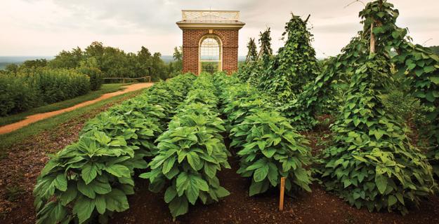 Thomas Jefferson's Monticello, Photo Gallery Thomas Jefferson's Monticello, Photo Gallery