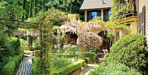 Garden of Curiosities