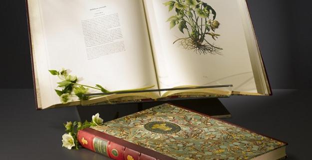 Art & Botany: Prince Charles's Book of Plants Art & Botany: Prince Charles's Book of Plants
