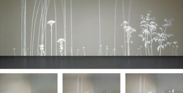 Art & Botany: 'Lightweeds' & Illuminated 'Trees'
