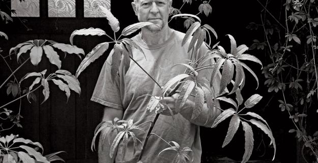 The Plant Hunter's Retreat