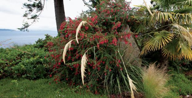 The Plant Hunter's Retreat, Photo Gallery