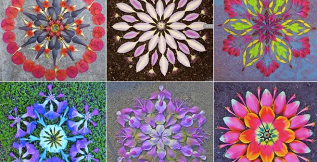 Art & Botany: Flower Mandalas