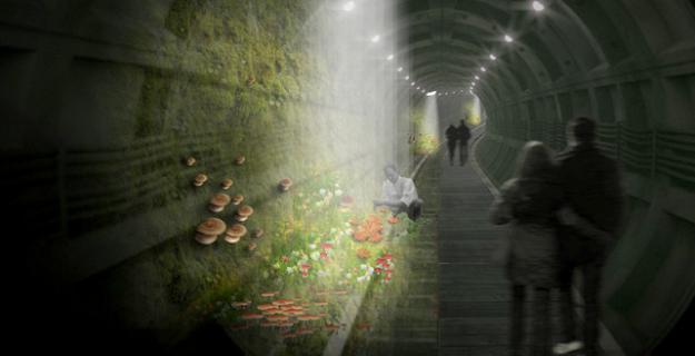 An Underground Mushroom Garden in London