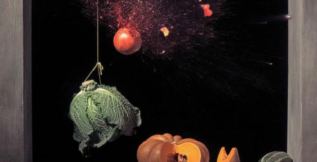 Beauty & Violence: Ori Gersht's Art of History