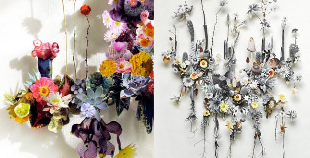 Art & Botany: Shadow Boxing Floralscapes