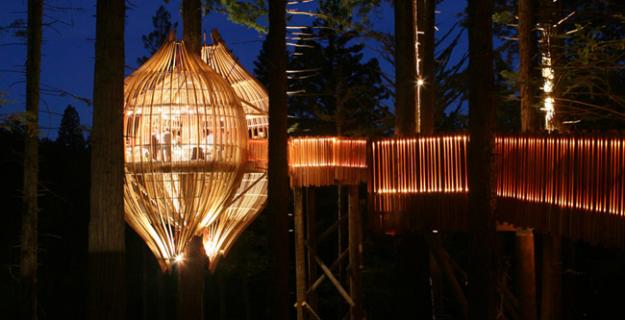 The Redwood Treehouse in New Zealand
