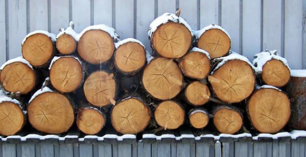 What's in your Fireplace? Hardwood vs Softwood