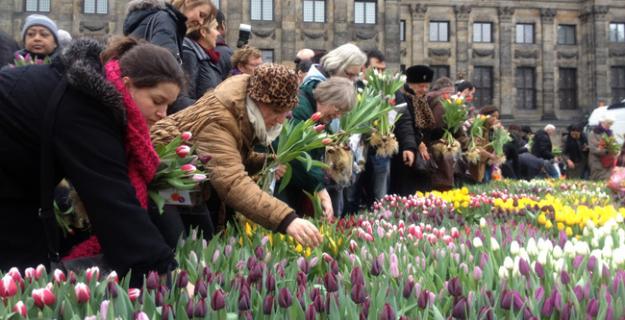 Tulpendag! A Day of Free Tulips in Amsterdam
