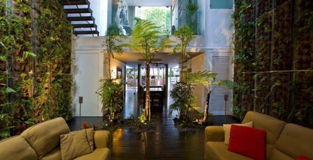 Where Trees Grow Through the Ceiling in Singapore 