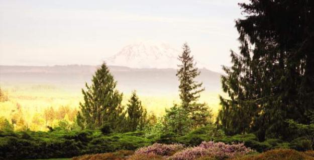Great Gardens: Thrill of the Chases