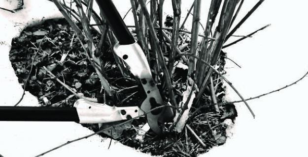 When to Prune
