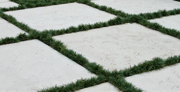 Peacock Pavers