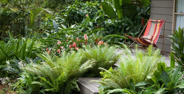 6 Cutting-Edge Garden Trends from Australia