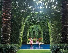 Italy Inspired: A South Florida Landscape