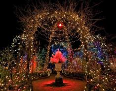 Gardens Aglow at the Holidays