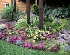 My Garden: A Rustic Perennial Paradise My Garden: A Rustic Perennial Paradise