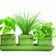 Garden Design