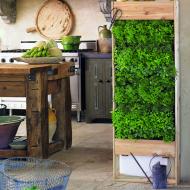 Garden Design