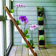 Garden Design