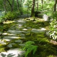 Garden Design