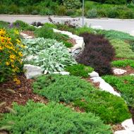 Garden Design