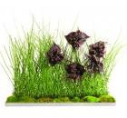 Garden Design