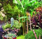 Garden Design