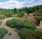 Garden Design