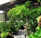 Garden Design - 05