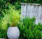 Grass - 8E1X5600
