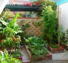 Green Harmony_1
