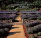 Matanzasgardens

