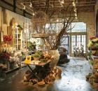 1_RG_BEVERLY_ GARDENROOM
