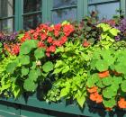 Garden Design