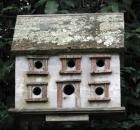 birdhouse for fun and function