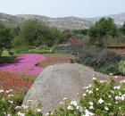 Garden Design
