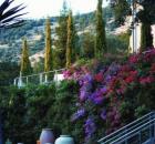 Garden Design