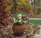 Garden Design