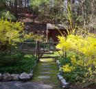 Rosemary Harris garden