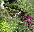 Garden Design