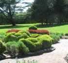 Garden Design