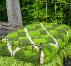 Garden Design