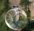Garden Design - Flora Grubbs Ornament