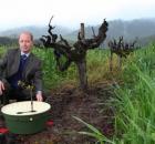 Garden Design - Pieter Hoff and the Waterboxx