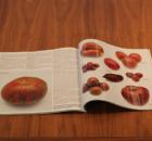Baker Creek Heirloom Seeds